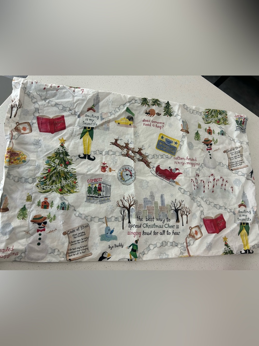 Pottery Barn Elf Christmas Pillowcase